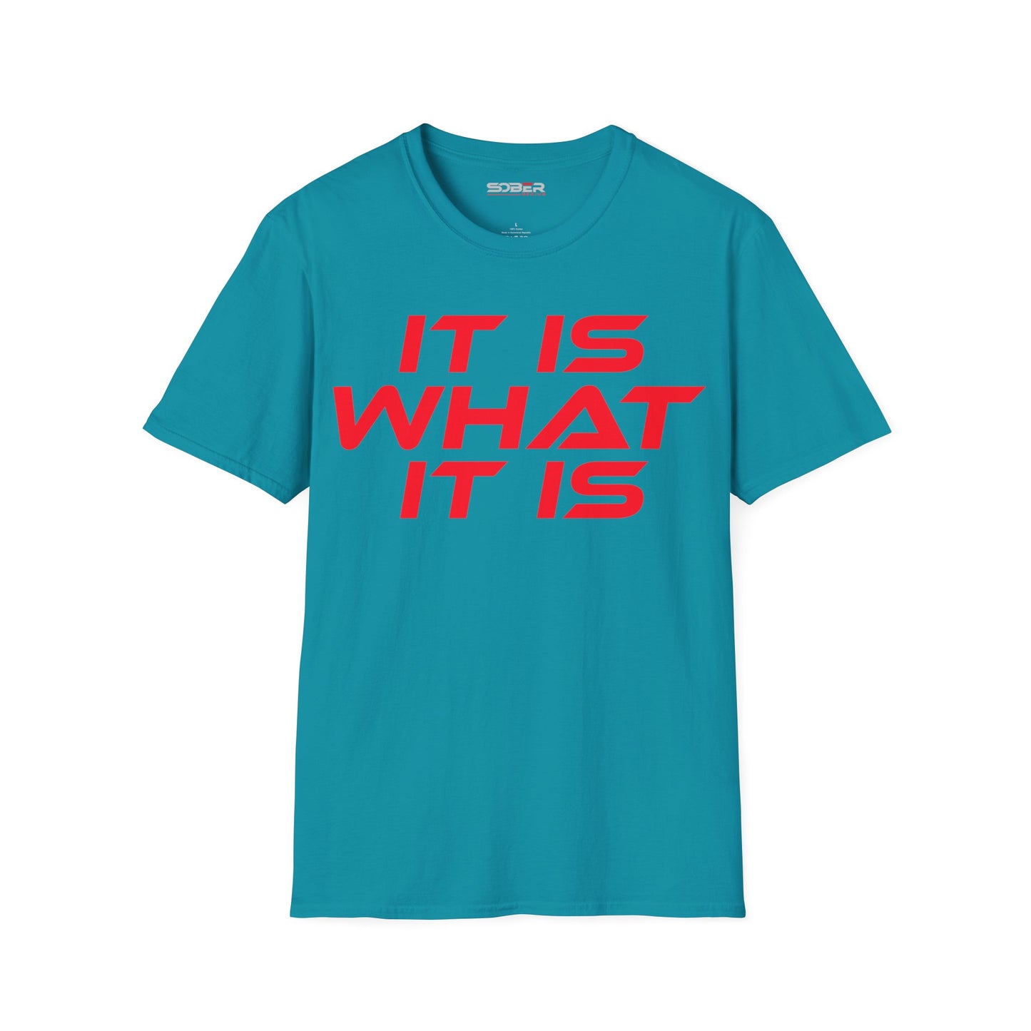 It Is What It Is - Unisex Softstyle T-Shirt