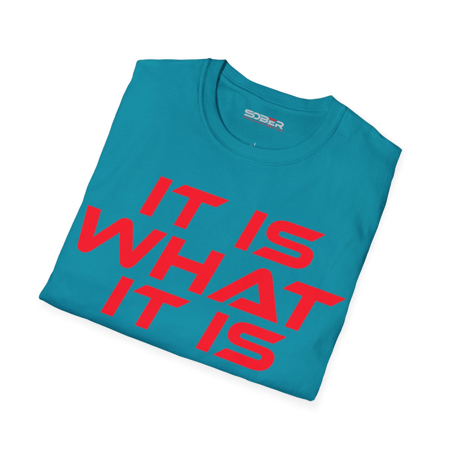 It Is What It Is - Unisex Softstyle T-Shirt