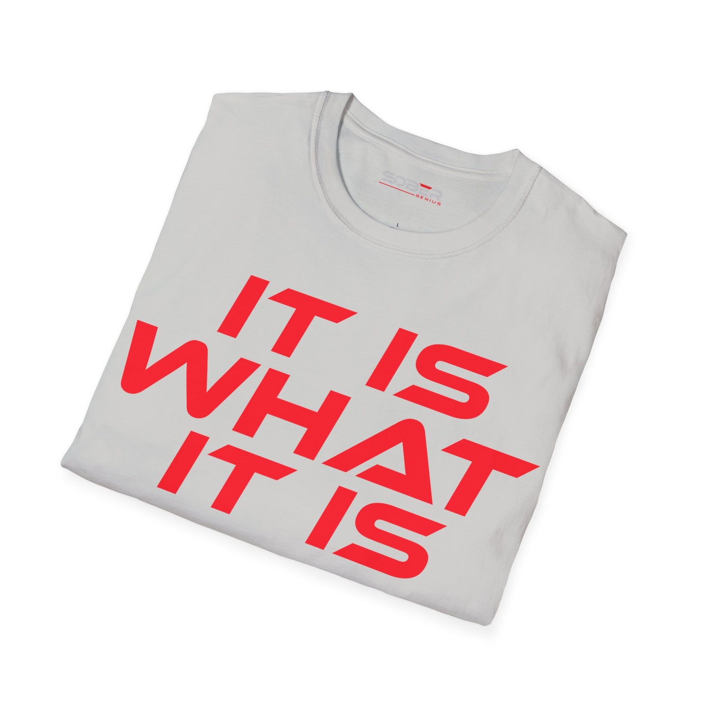 It Is What It Is - Unisex Softstyle T-Shirt